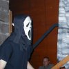 drued-wl2003-a-111.jpg