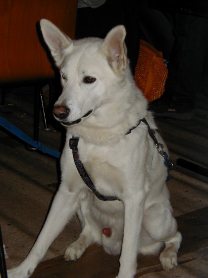 drued-wl2003-probe2-66.jpg