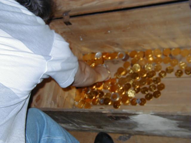 drued-wl2004-gprobe-83.jpg