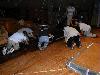 drued-wl2004-probe-101.jpg