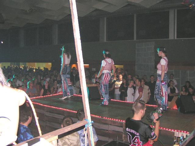 gerlach-wl2004-a-33.jpg